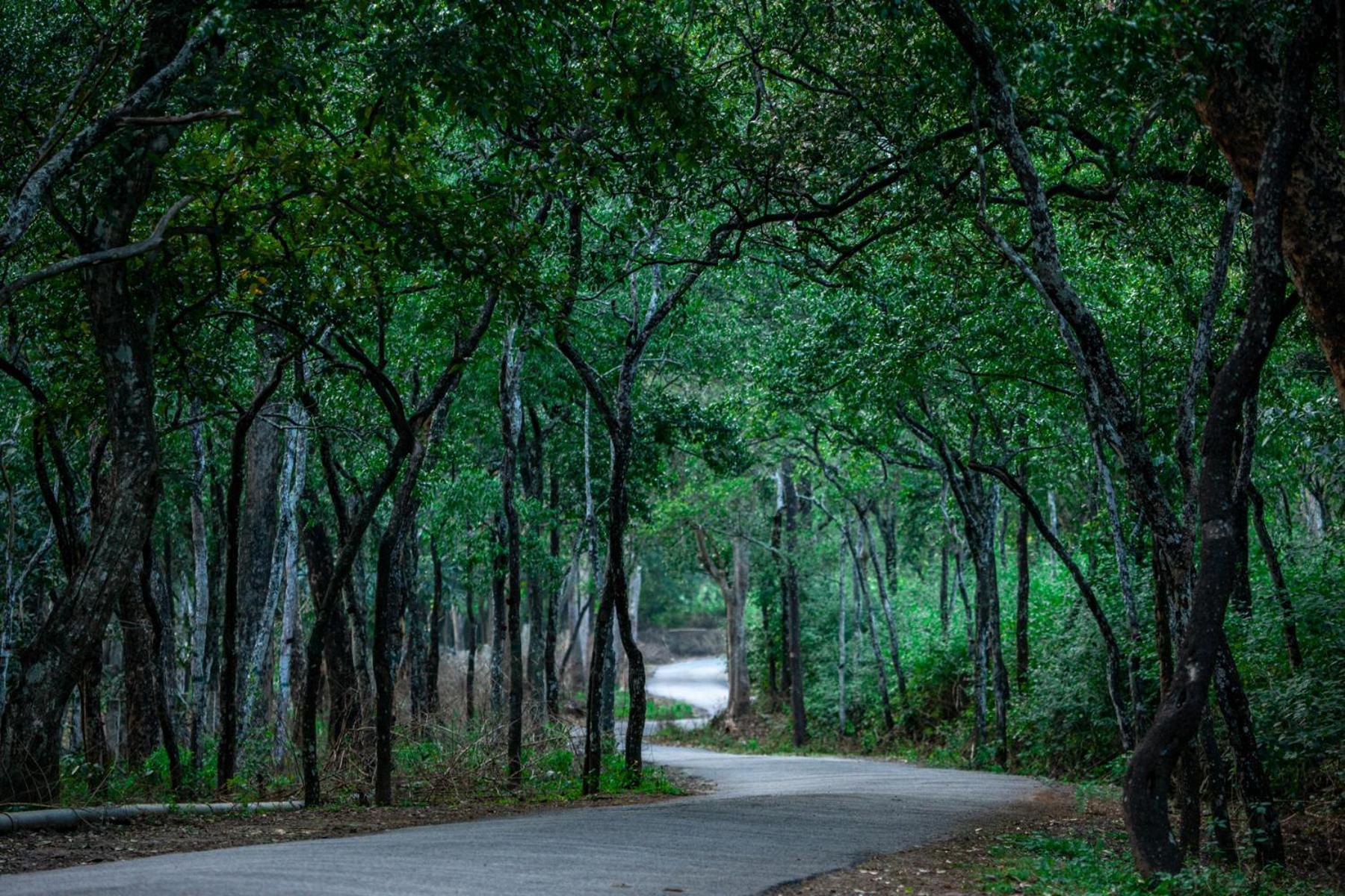 Nature Tones By Brdge Hospitality Bed & Breakfast Maraiyur Exterior photo